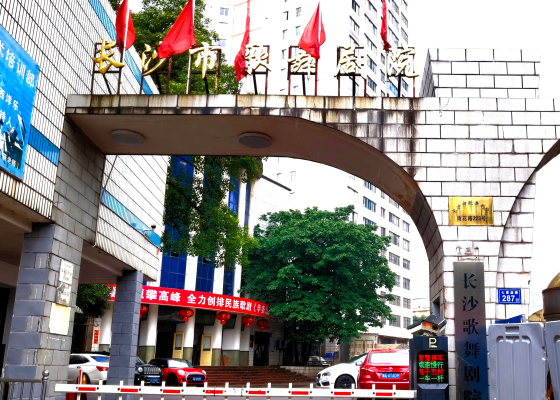 长沙市歌舞剧院办公家具项目